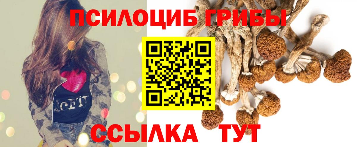 Комсомольск-на-Амуре  дарнет шоп  Вход с VPN  Псилоцибиновые грибы GOLDEN TEACHER  Псилоцибиновые грибы Psilocybine cubensis 